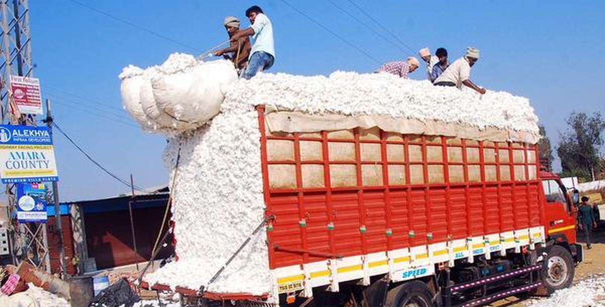 Kasturi Cotton Traceability Gains Momentum in India’s Textile Sector
