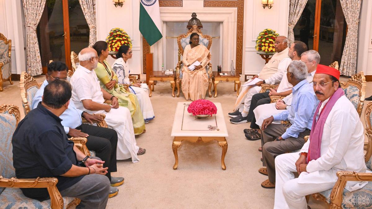 BJP Criticises Rahul Gandhi After INDIA Bloc Meets President