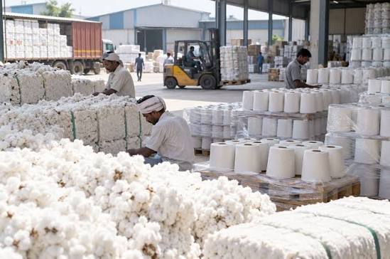 Indian Cotton Prices Face Pressure as Arrivals Rise